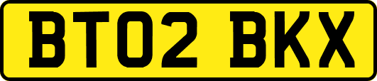 BT02BKX