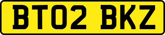 BT02BKZ