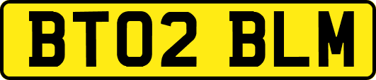 BT02BLM