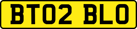 BT02BLO