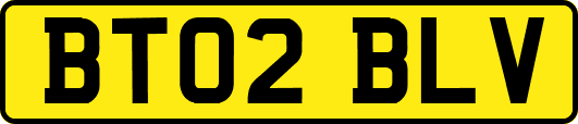 BT02BLV