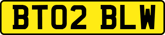 BT02BLW