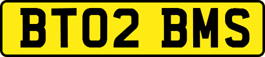 BT02BMS