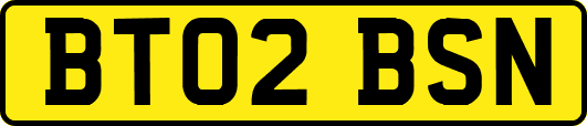 BT02BSN