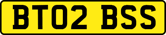 BT02BSS