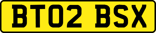 BT02BSX