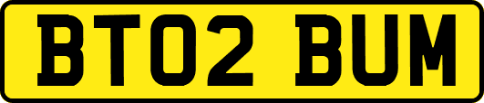 BT02BUM