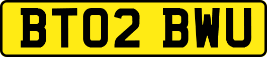 BT02BWU