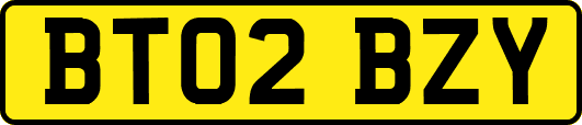BT02BZY