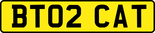 BT02CAT