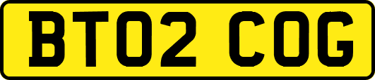 BT02COG