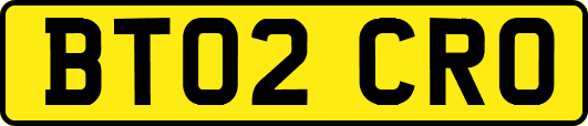 BT02CRO