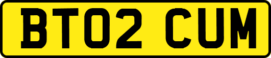 BT02CUM