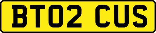 BT02CUS