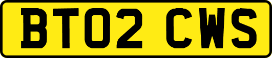 BT02CWS