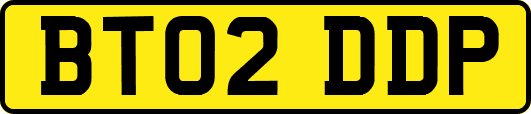 BT02DDP