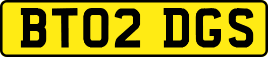 BT02DGS