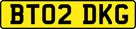 BT02DKG