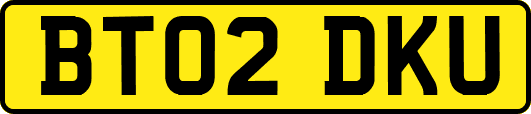 BT02DKU
