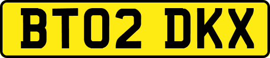 BT02DKX