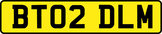 BT02DLM