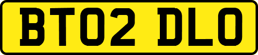 BT02DLO