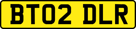 BT02DLR