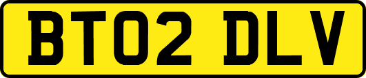 BT02DLV