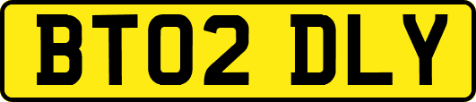BT02DLY