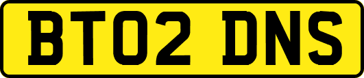 BT02DNS