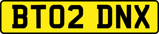BT02DNX