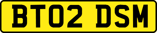 BT02DSM