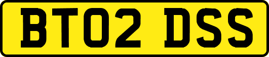 BT02DSS