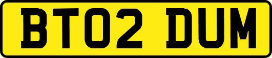 BT02DUM
