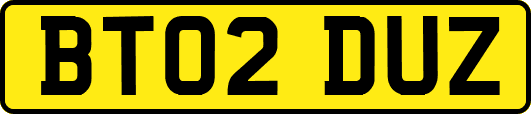 BT02DUZ