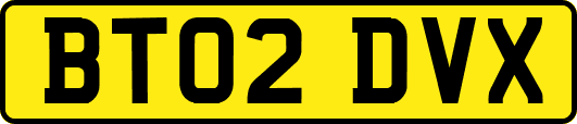 BT02DVX