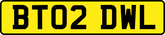 BT02DWL