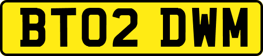 BT02DWM