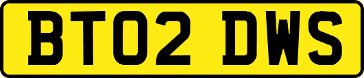 BT02DWS