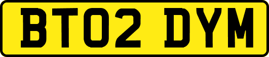 BT02DYM