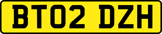 BT02DZH