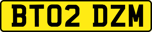 BT02DZM