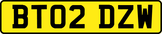 BT02DZW