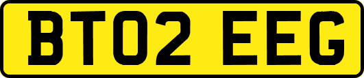 BT02EEG