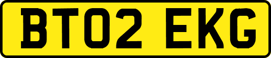 BT02EKG