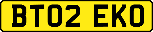 BT02EKO