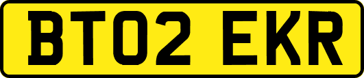 BT02EKR