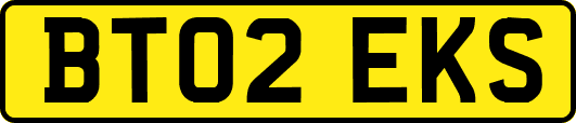 BT02EKS