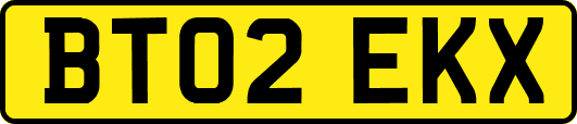 BT02EKX