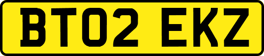 BT02EKZ
